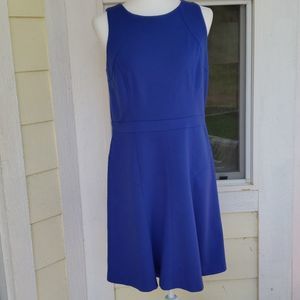 Loft brand, royal blue dress, 10 petite